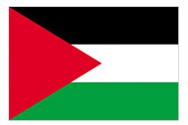 3 x 5' Nylon Palestine Flag