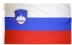 2 x 3' Slovenia Flag