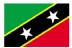 2 x 3' St. Kitts-Nevis Flag
