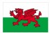 3 x 5' Nylon Wales Flag
