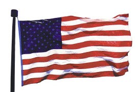 5 x 9 1/2 USA Large Star Bulldog-Cotton Flag  