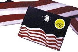 2 1/2 x 4' USA T-Tex Banner Annin
