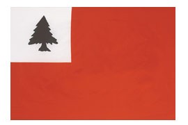 3 x 5' Nyl-Glo Continental Flag