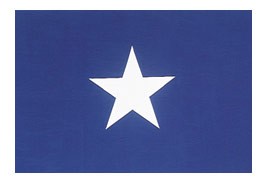 3 x 5' The Bonnie Blue Flag