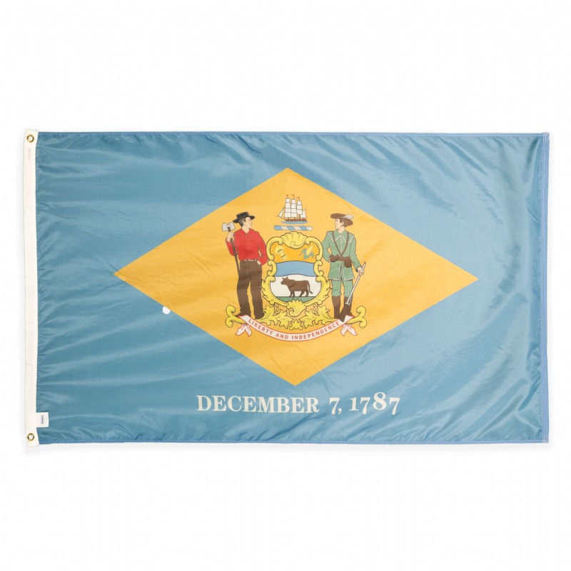 2 x 3' Nylon Delaware Flag