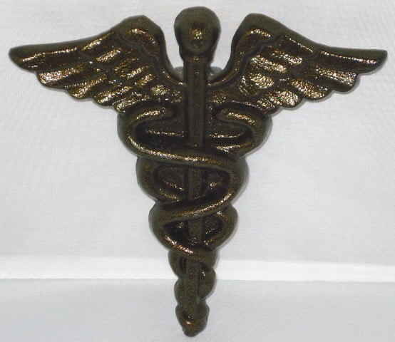 Medical Grave Marker - Bronze
