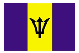 2 x 3' Nylon Barbados Flag