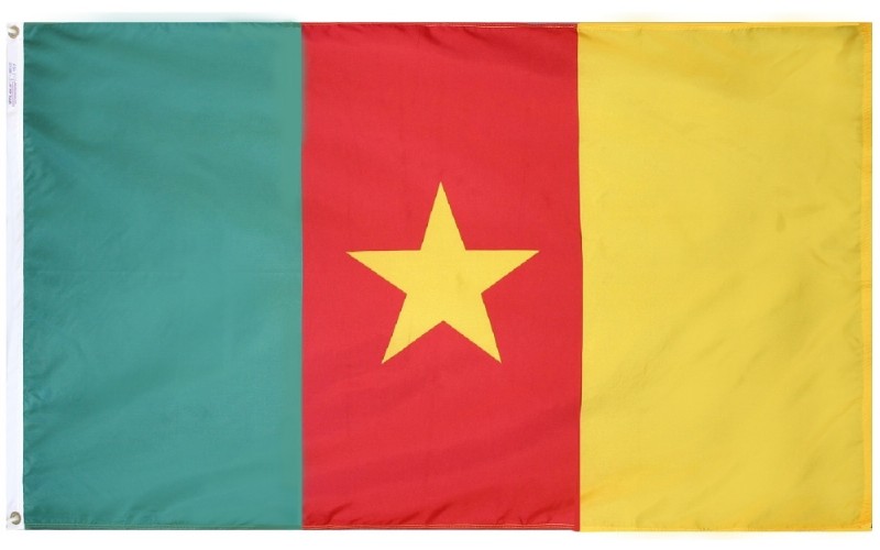 2 x 3' Nylon Cameroon Flag