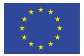 3 x 5' European Union Flag