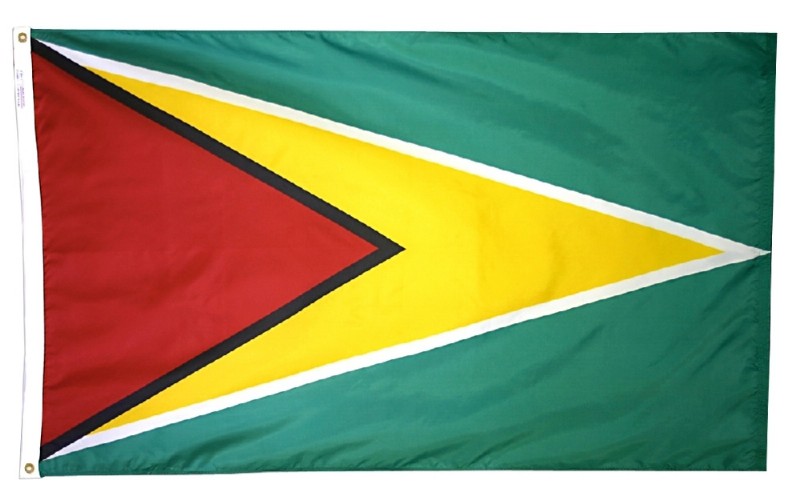 2 x 3' Guyana Flag