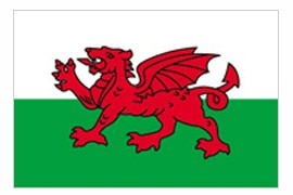 3 x 5' Nylon Wales Flag