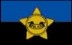 3 x 5' Police Remembrance Flag