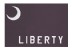 3 x 5' Fort Moultrie Flag