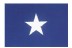 3 x 5' The Bonnie Blue Flag