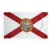 2 x 3' Nylon Florida Flag