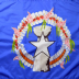 2 x 3' Nylon Northern Marianas Flag