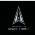 2' x 3' Nyl-Glo Space Force Flag 