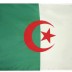 2 x 3 Algeria Flag