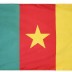 2 x 3' Nylon Cameroon Flag