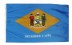 2 x 3' Nylon Delaware Flag