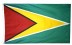 3 x 5' Guyana Flag