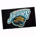 3 x 5' Jacksonville Jaguars Flag